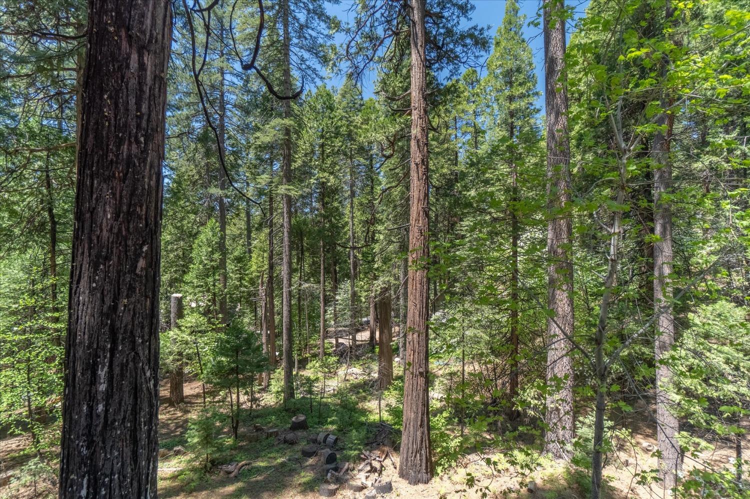 1304 Cypress Point Drive