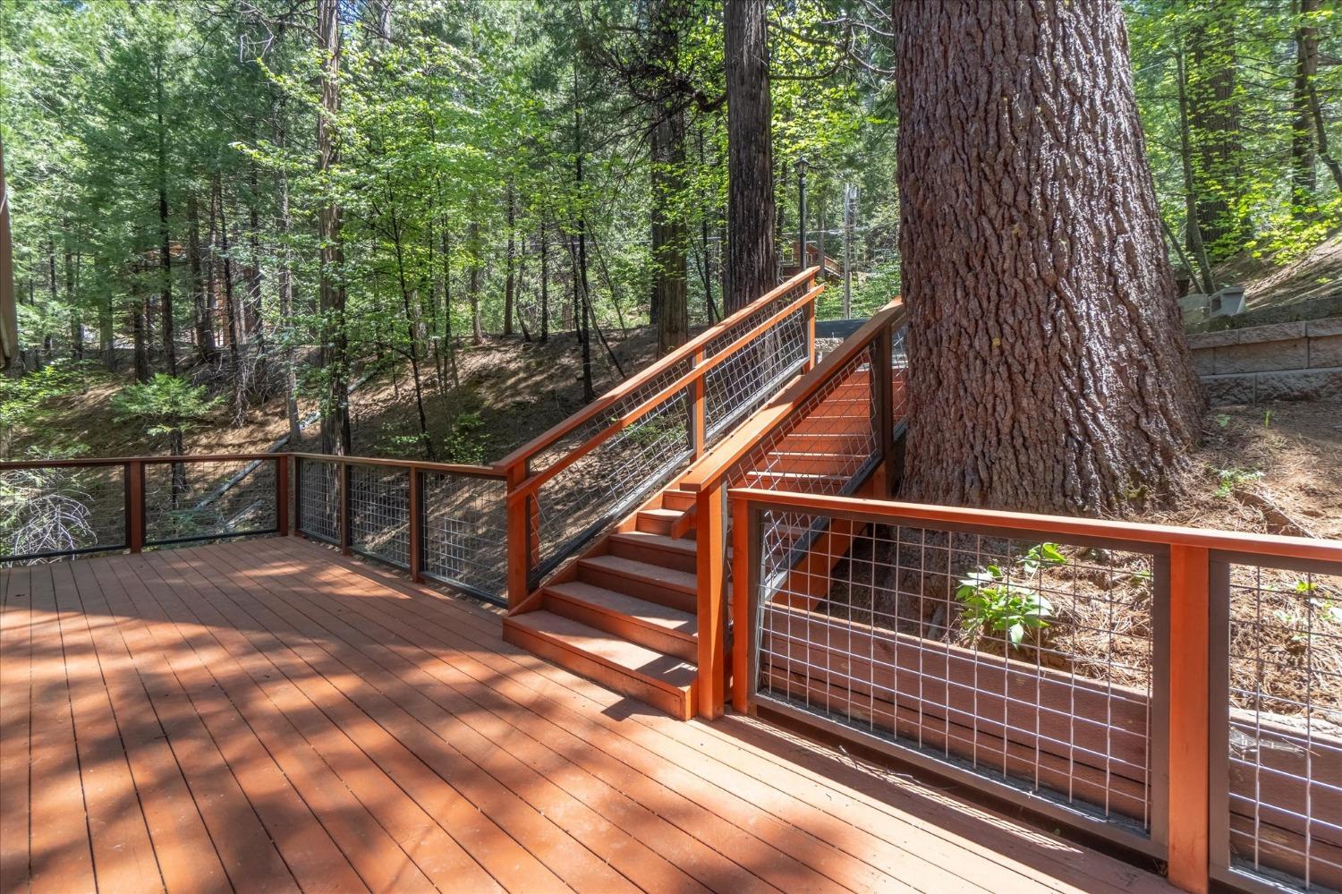 1304 Cypress Point Drive