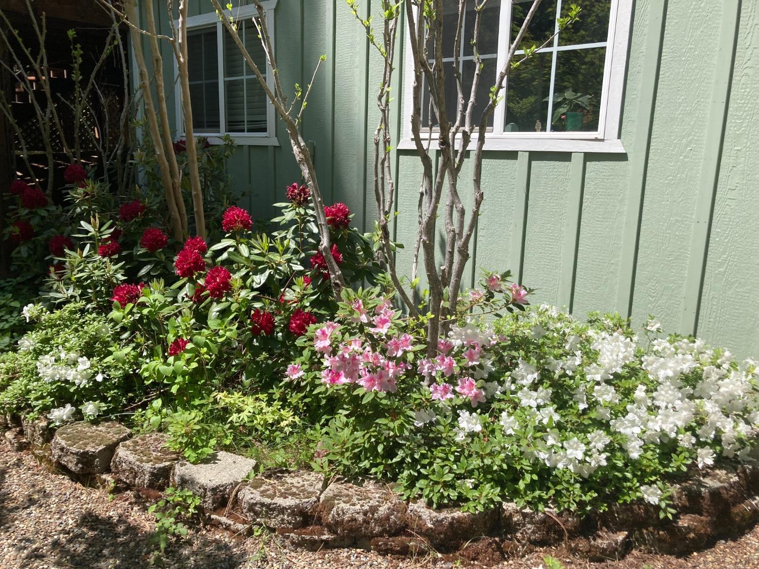 5109 Glen Echo Drive