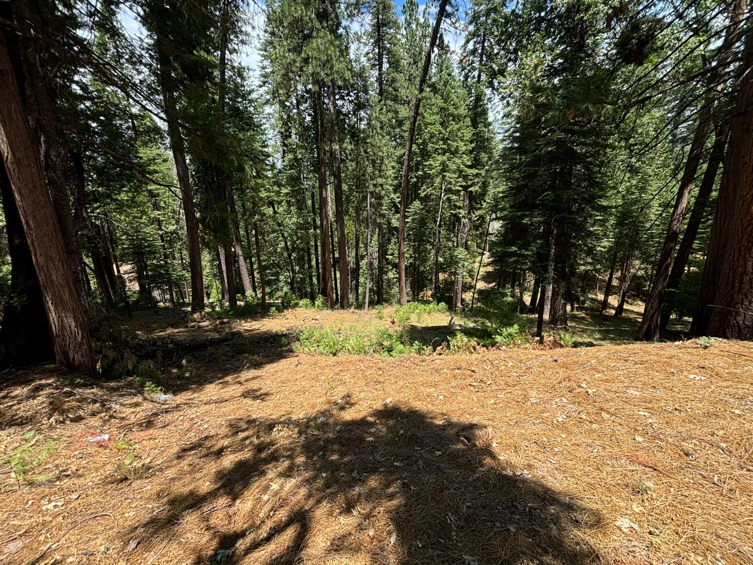 2438 Innsbruk Drive