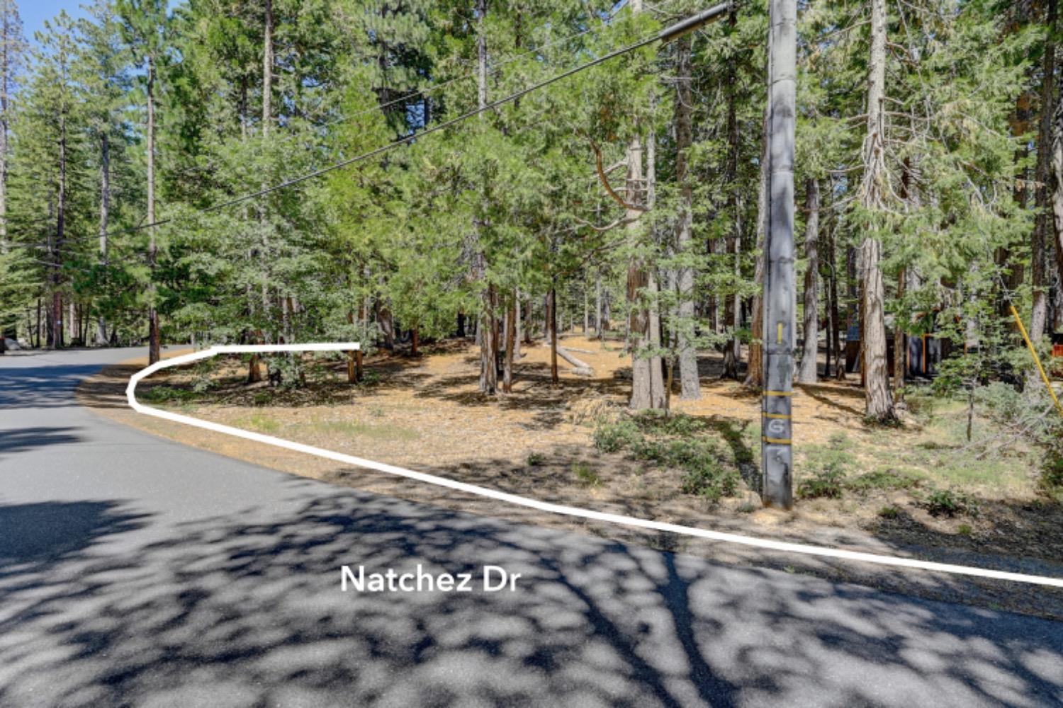 3819 Natchez Drive