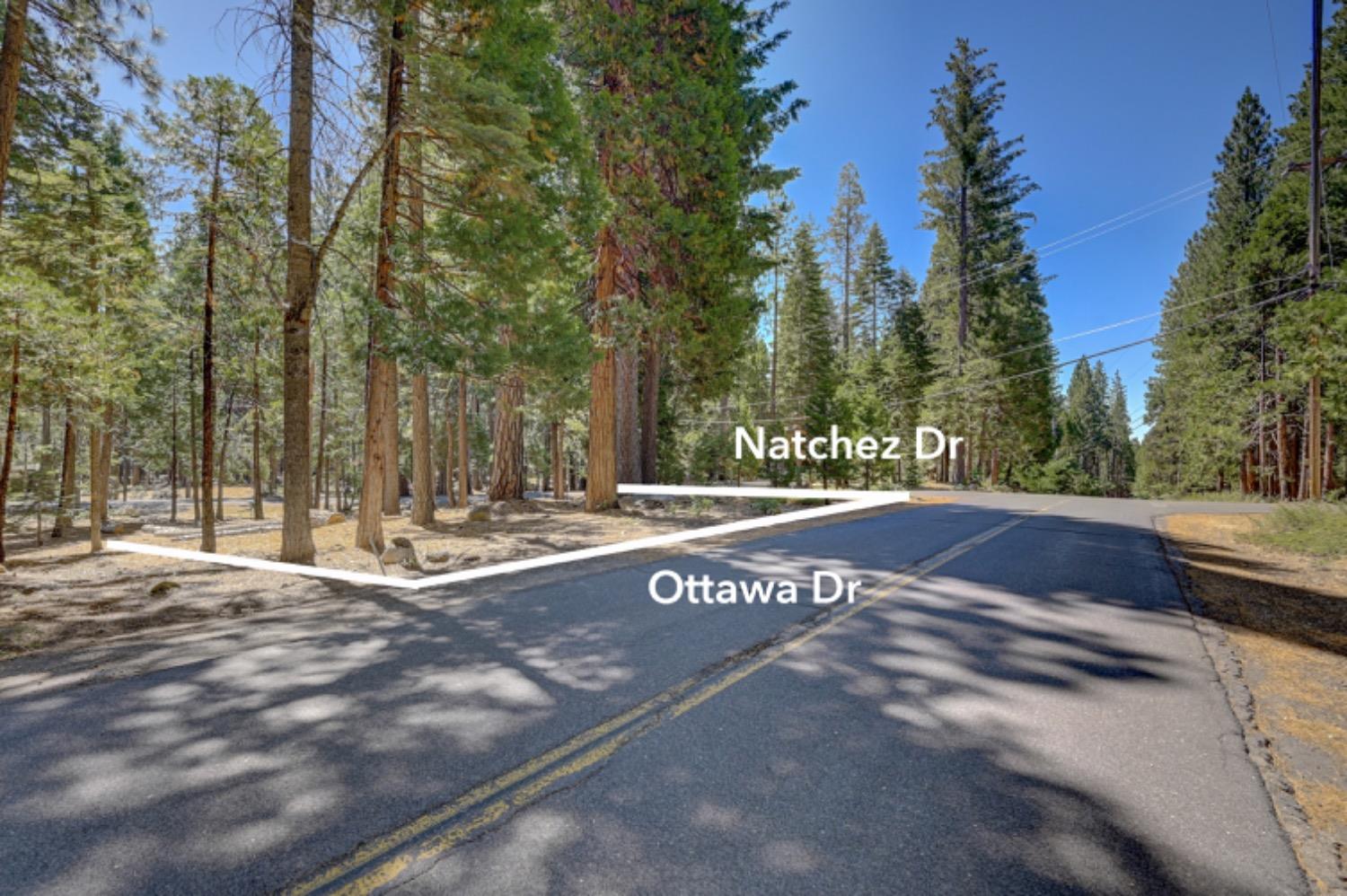 3819 Natchez Drive