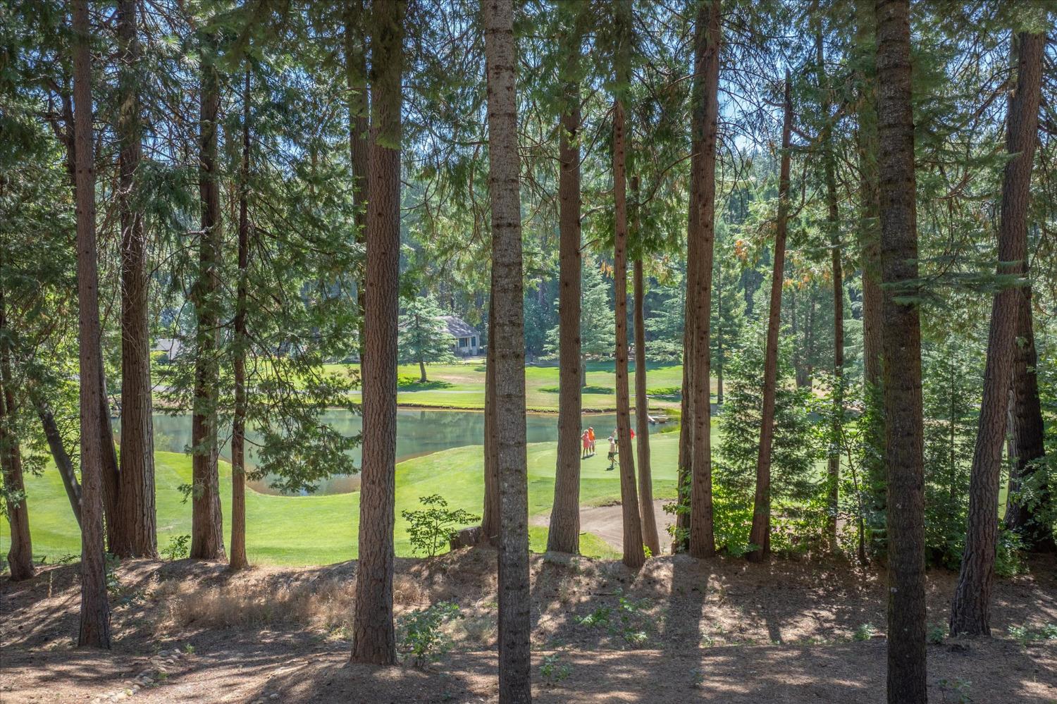 791 Blue Lake Springs Drive