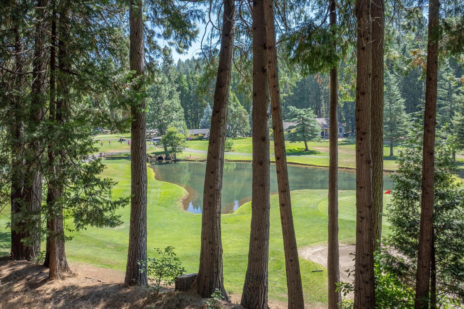 791 Blue Lake Springs Drive