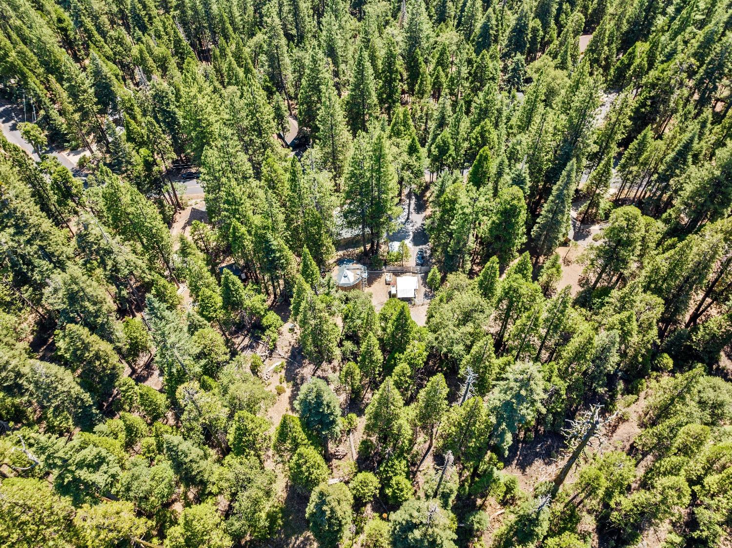 2953 Navajo Drive