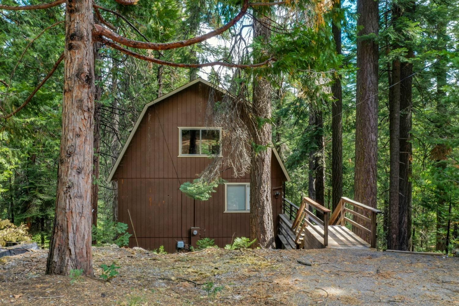 1255 Shoshone Drive