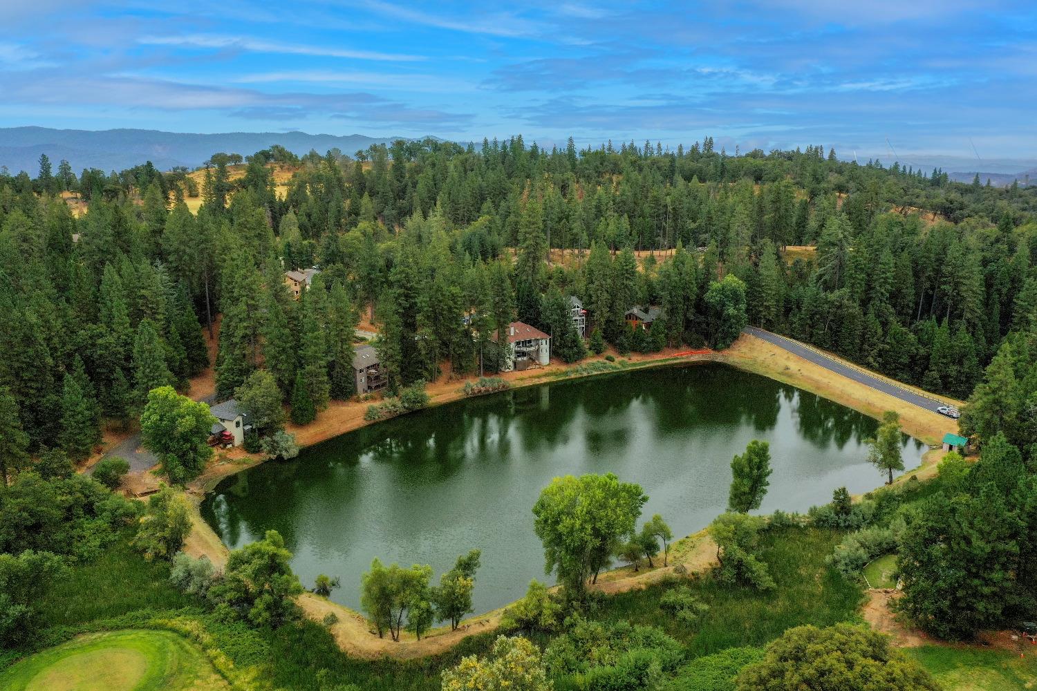 3 Foxglove Court