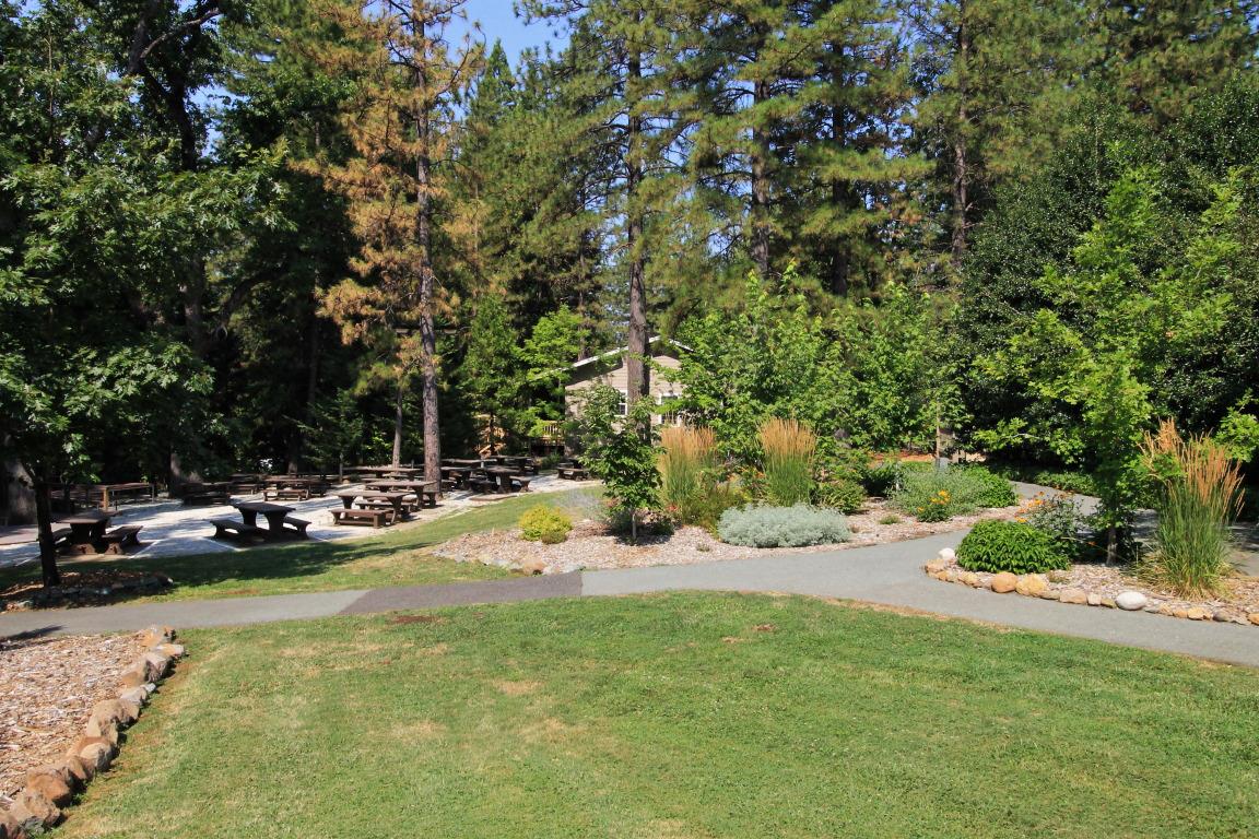 3 Foxglove Court