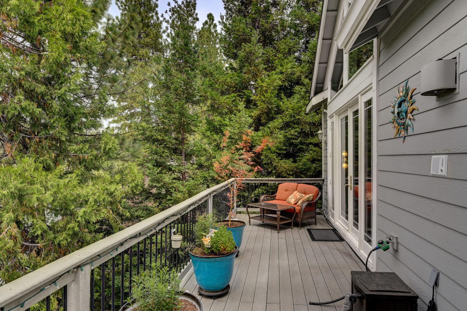 3 Foxglove Court