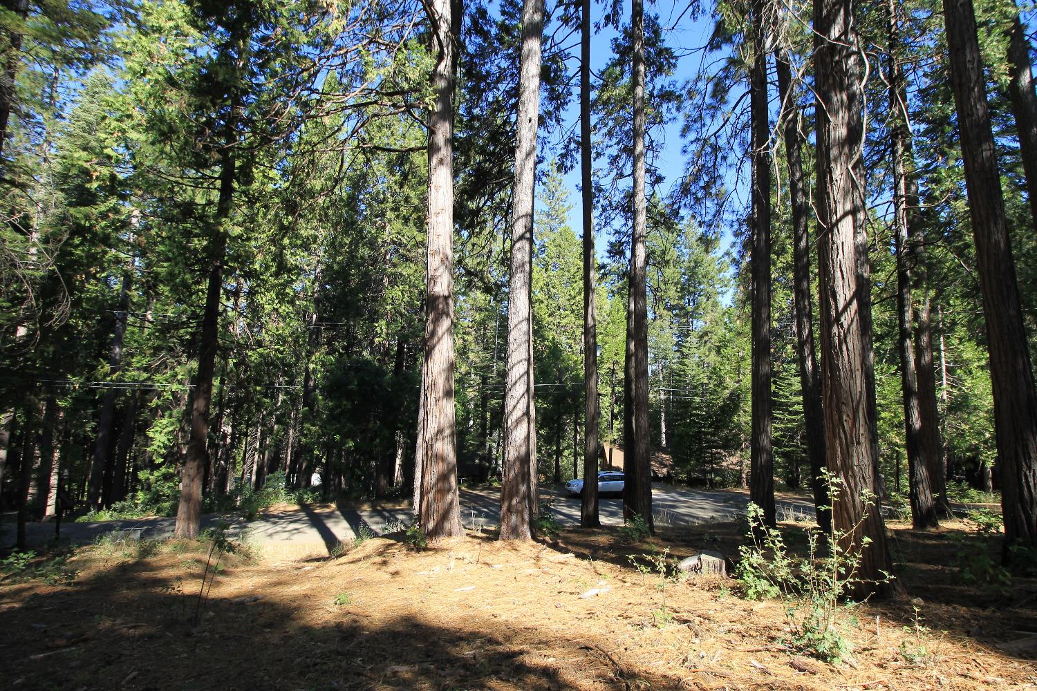 3029 Pine Lake Drive