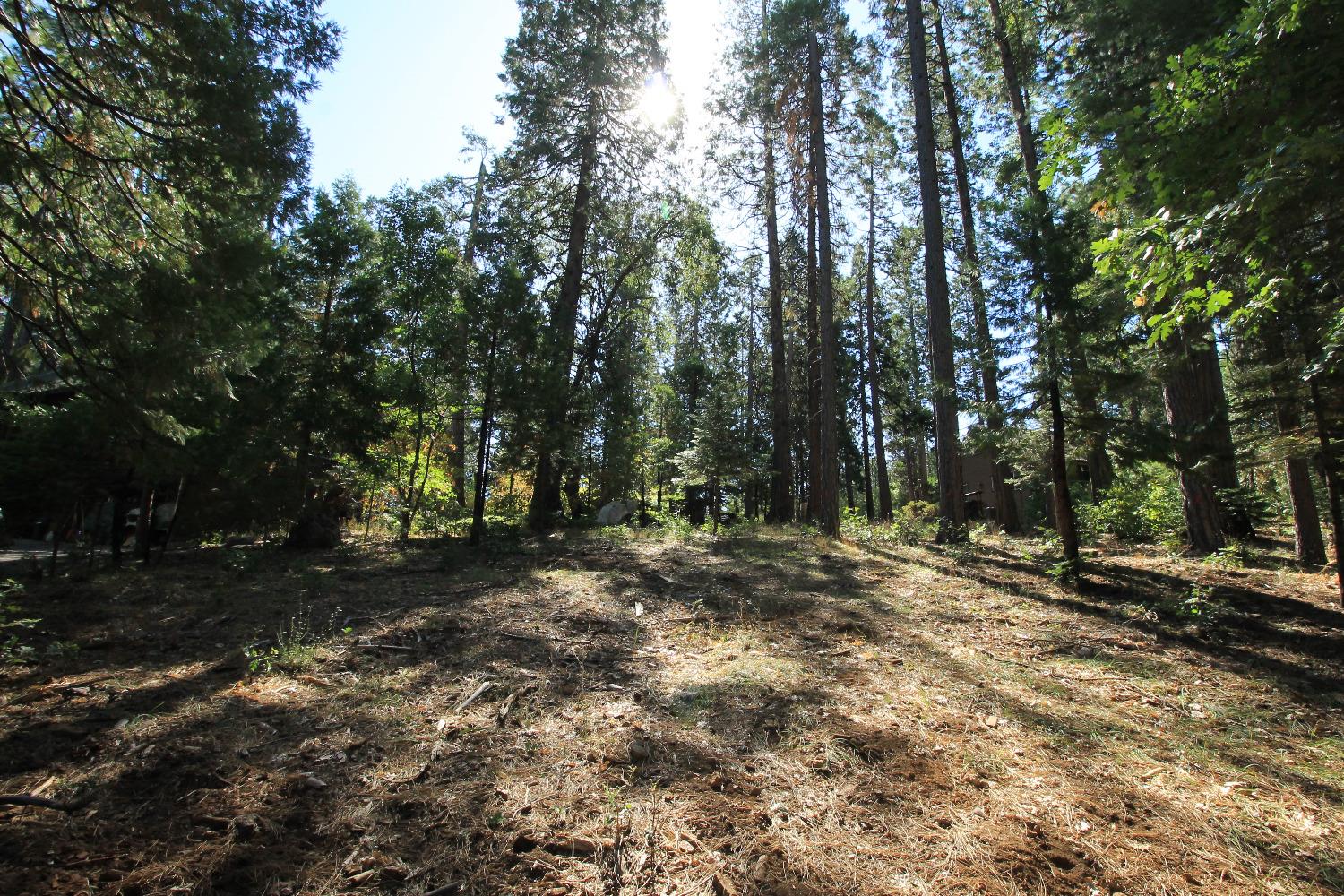 3029 Pine Lake Drive