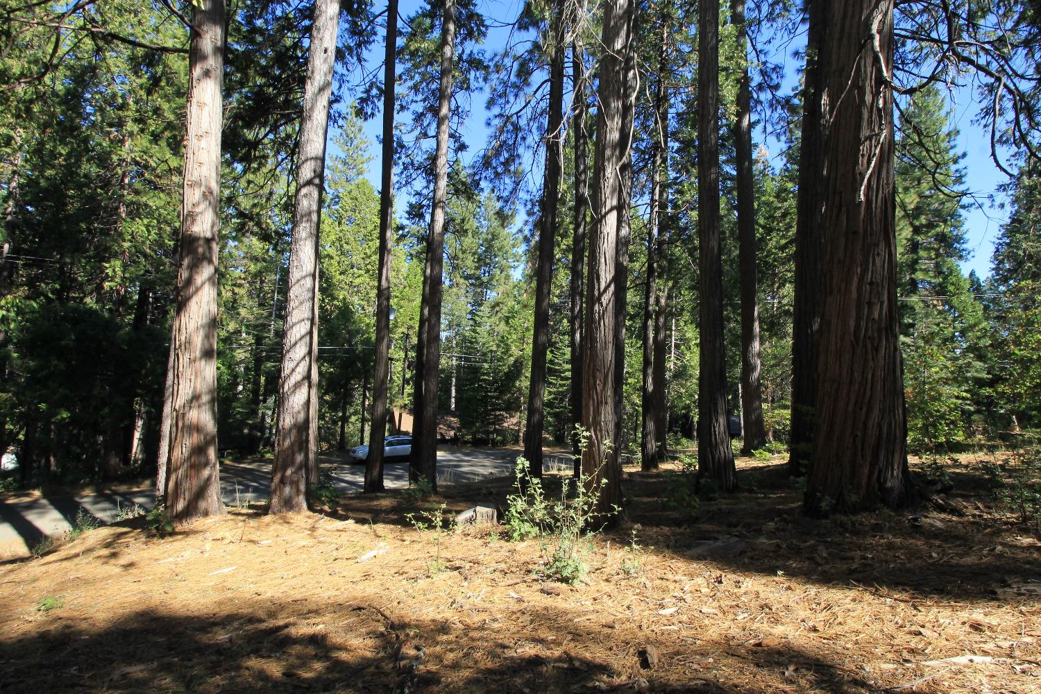 3029 Pine Lake Drive