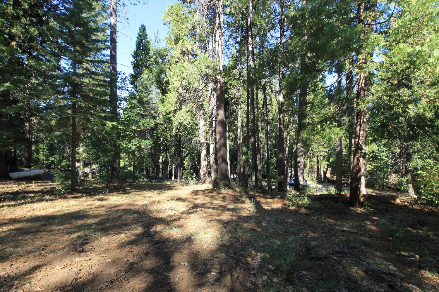 3029 Pine Lake Drive