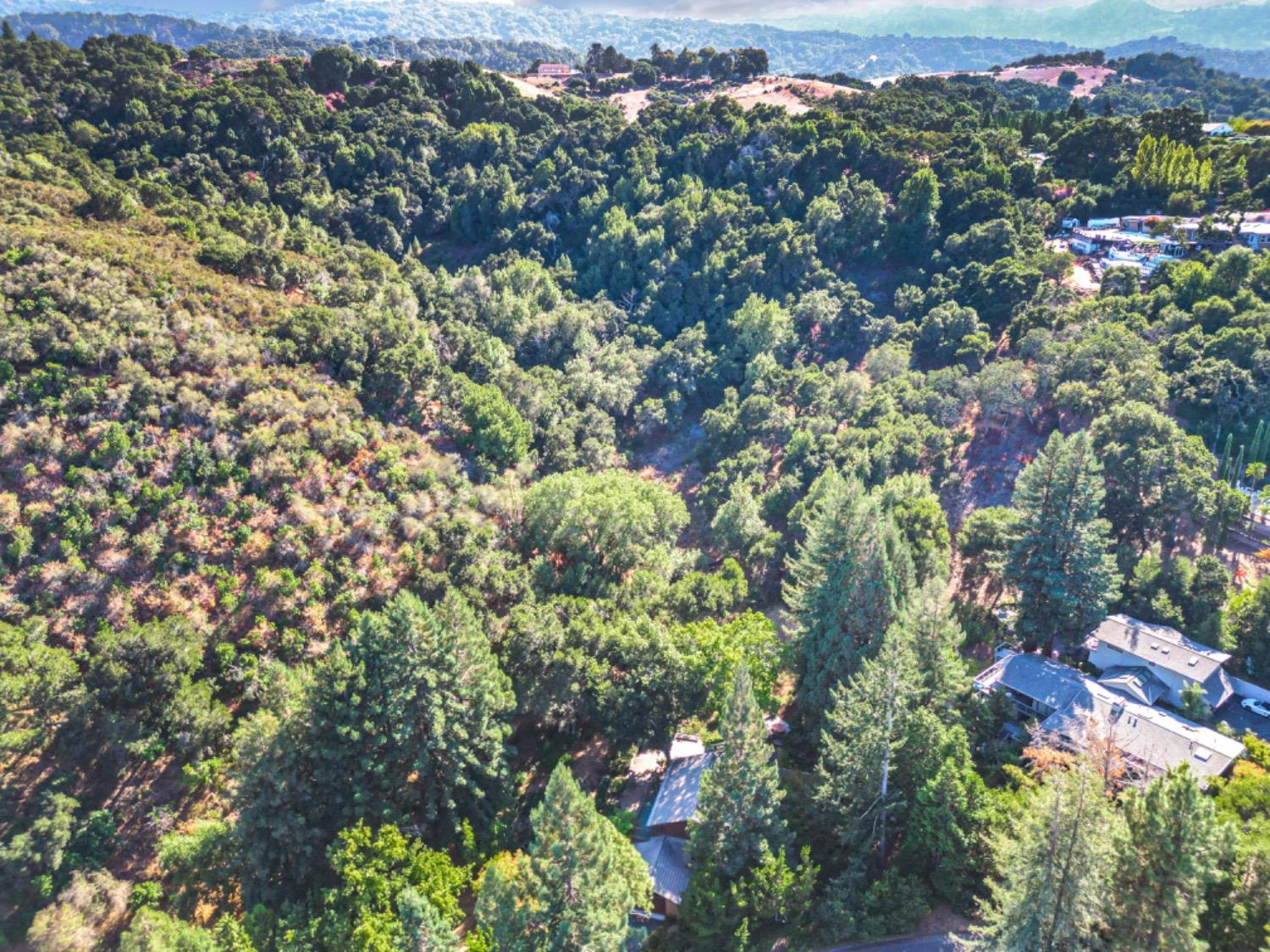 3145 Bandera Drive