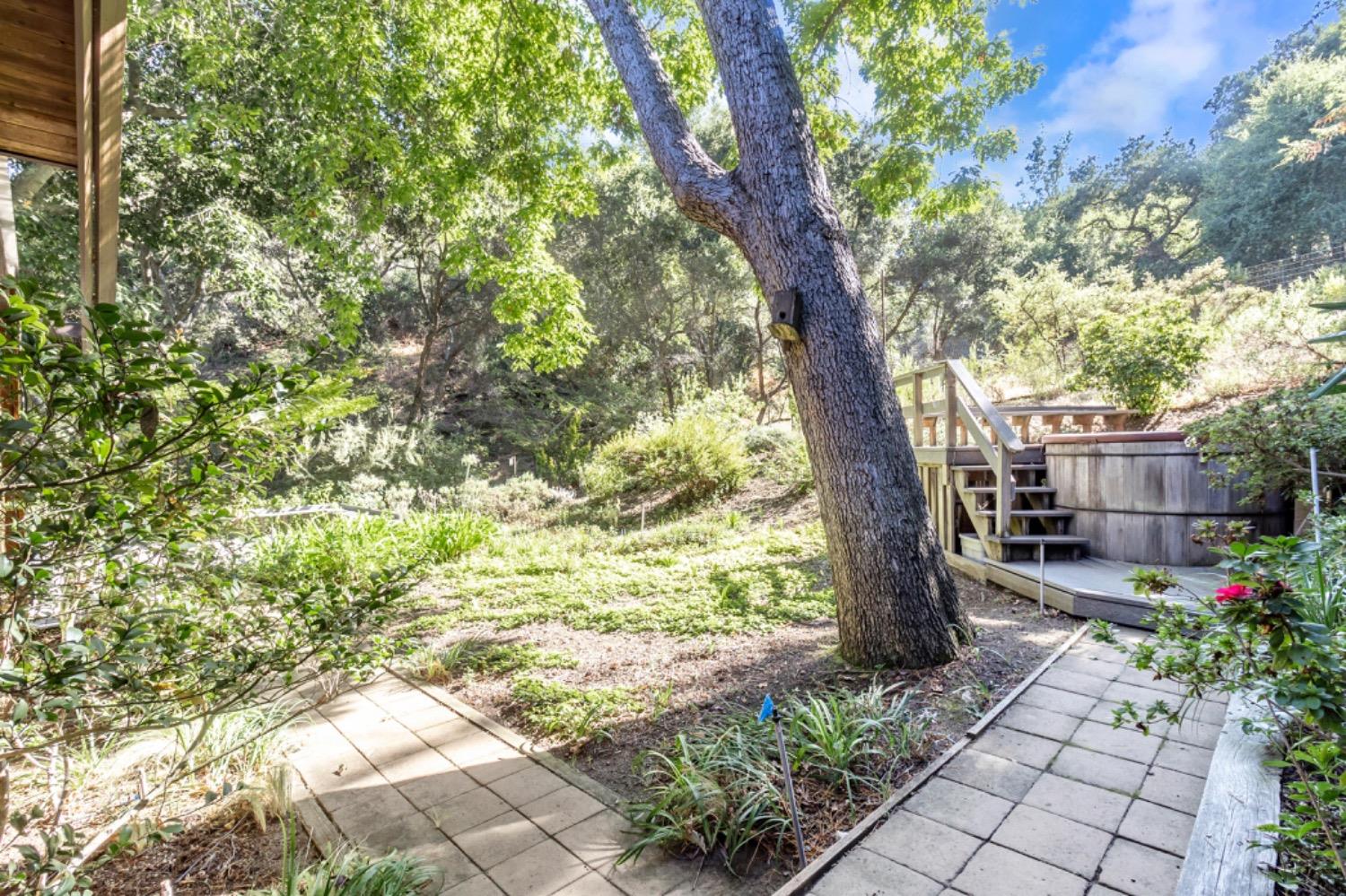 3145 Bandera Drive