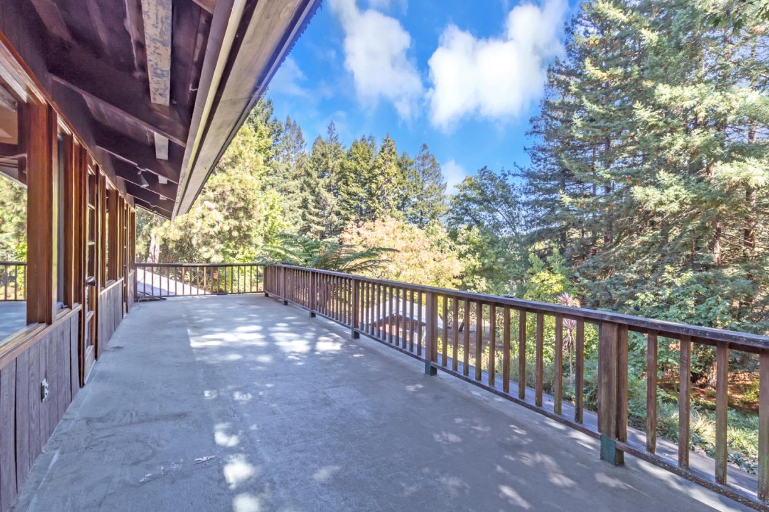 3145 Bandera Drive
