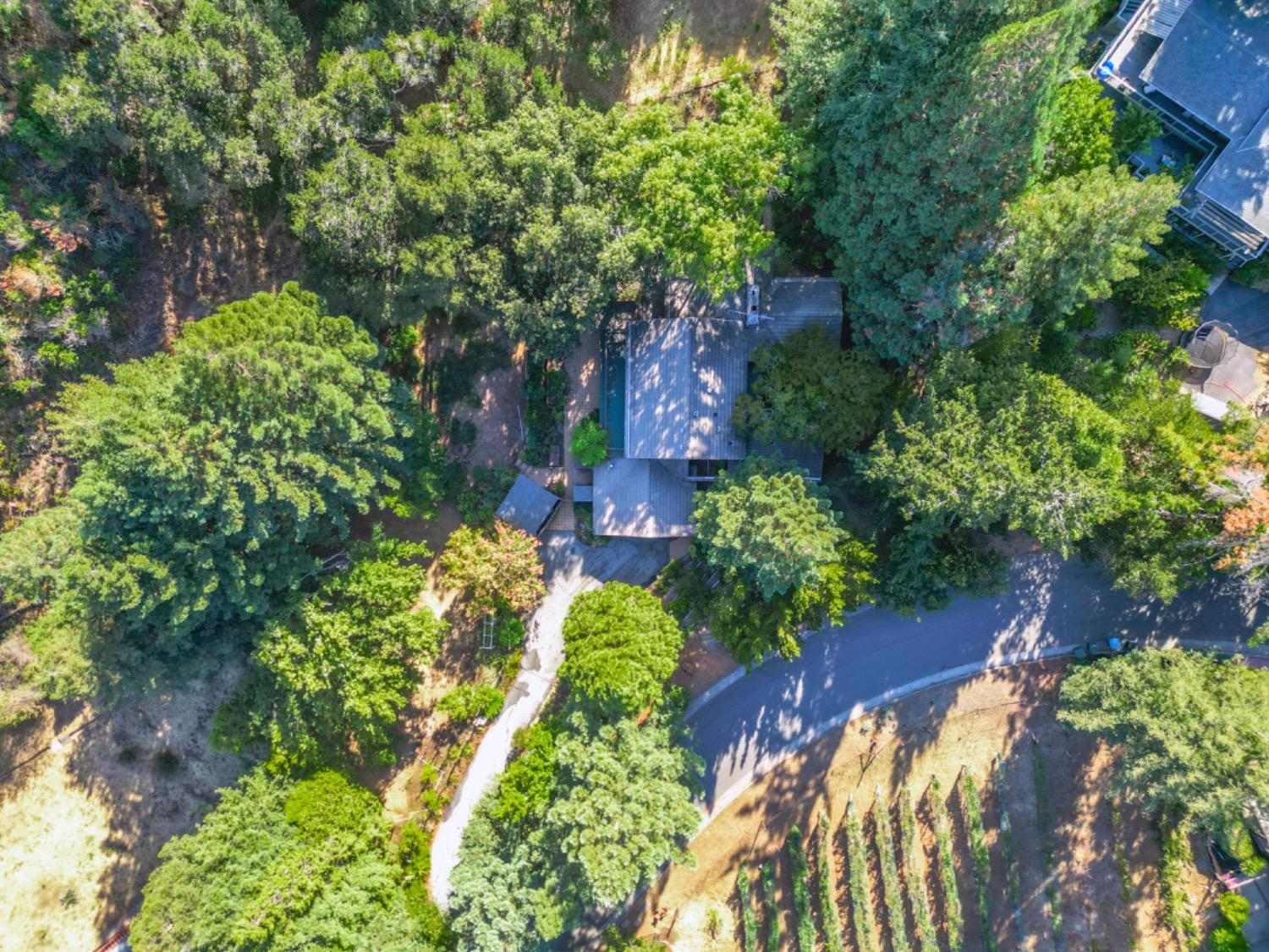 3145 Bandera Drive