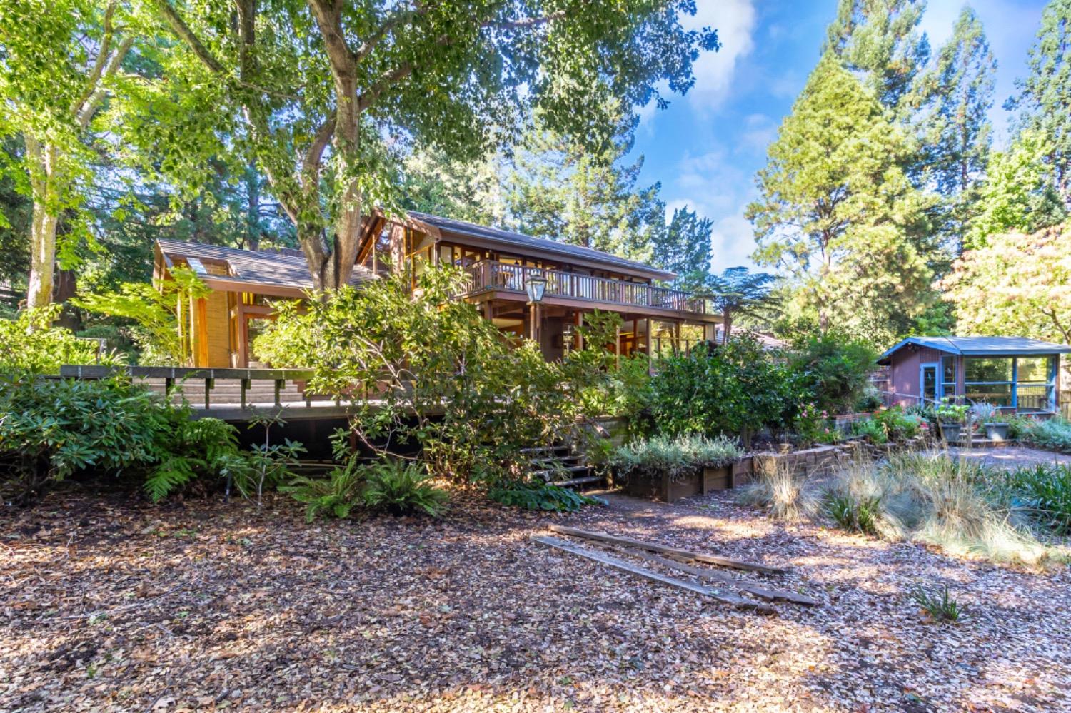3145 Bandera Drive