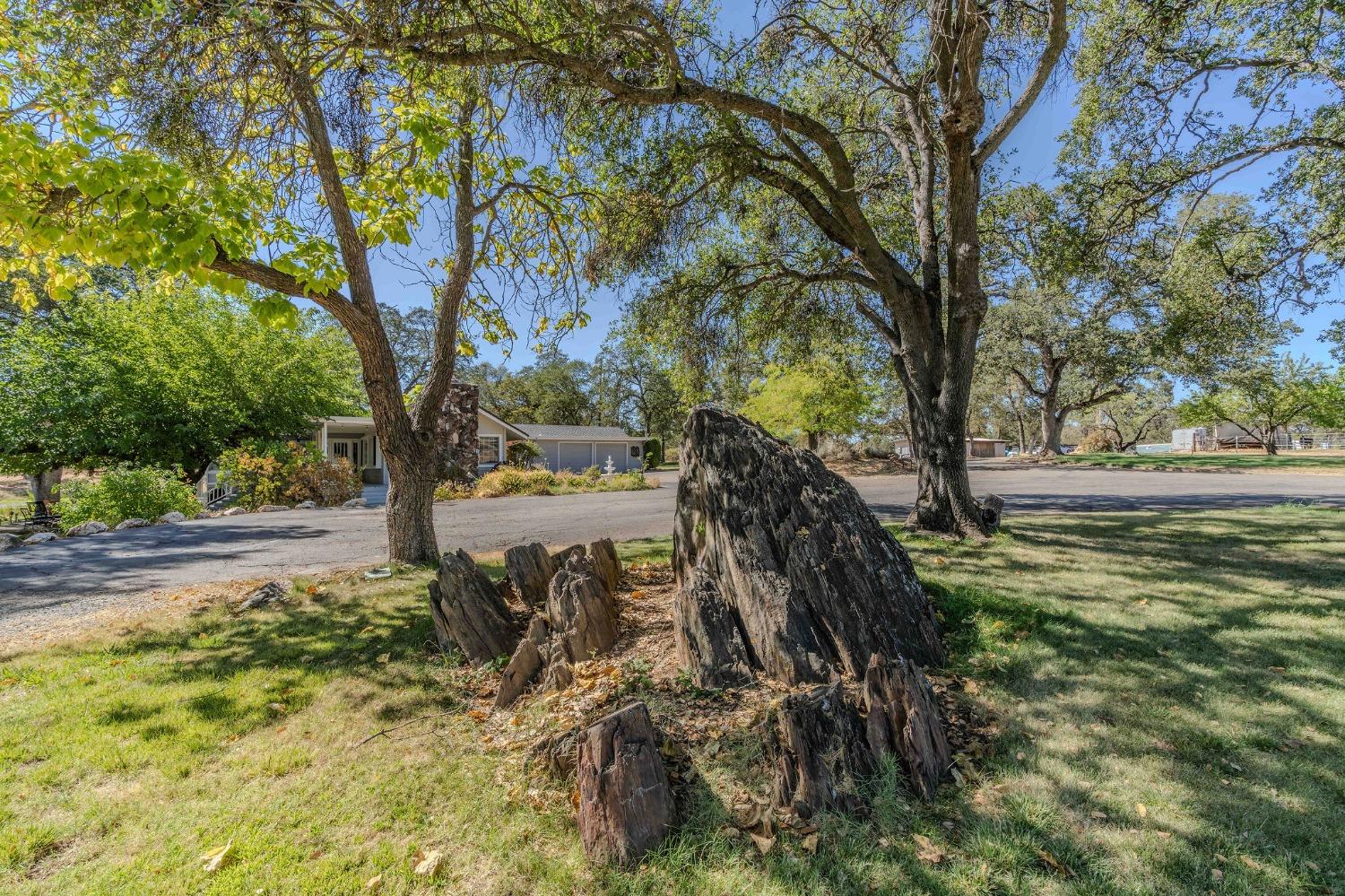 769 Dogtown Road