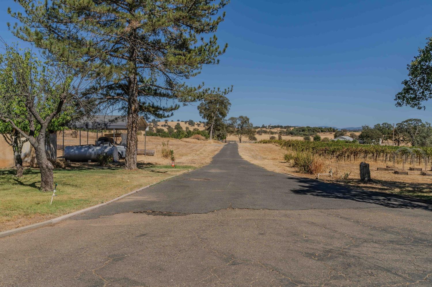 769 Dogtown Road