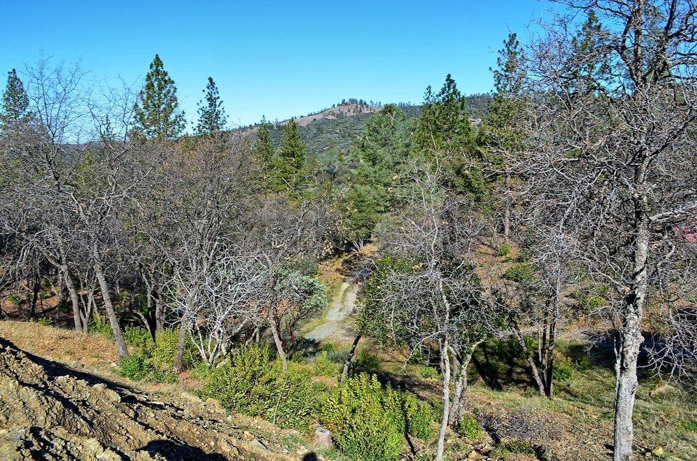 2939 Butte Mountain Road