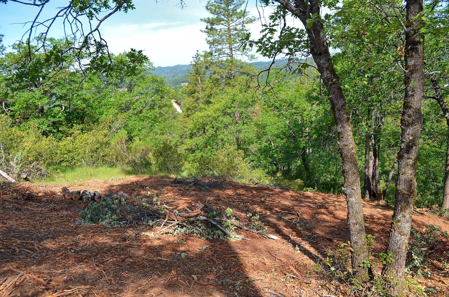 2939 Butte Mountain Road