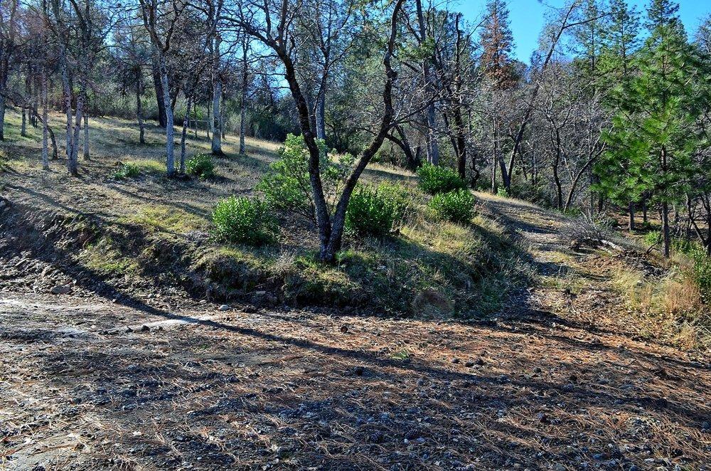 2939 Butte Mountain Road