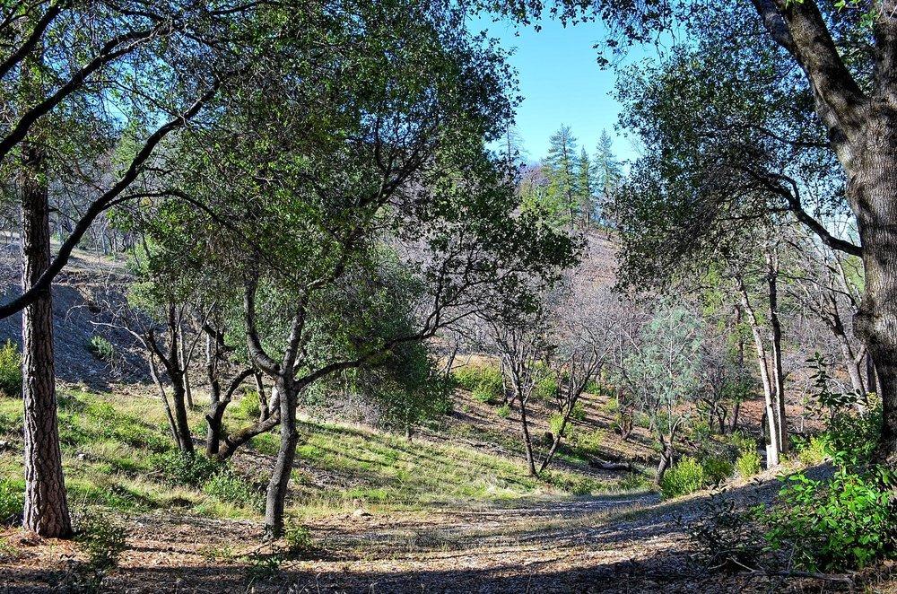 2939 Butte Mountain Road