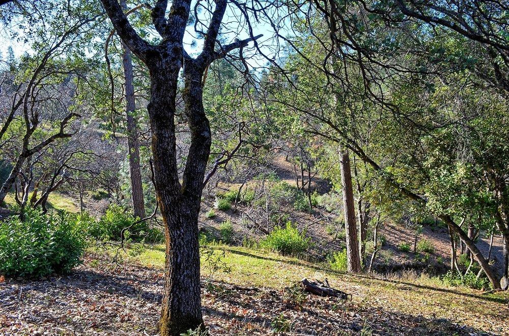 2939 Butte Mountain Road
