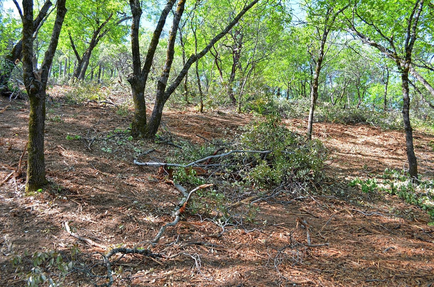 2939 Butte Mountain Road