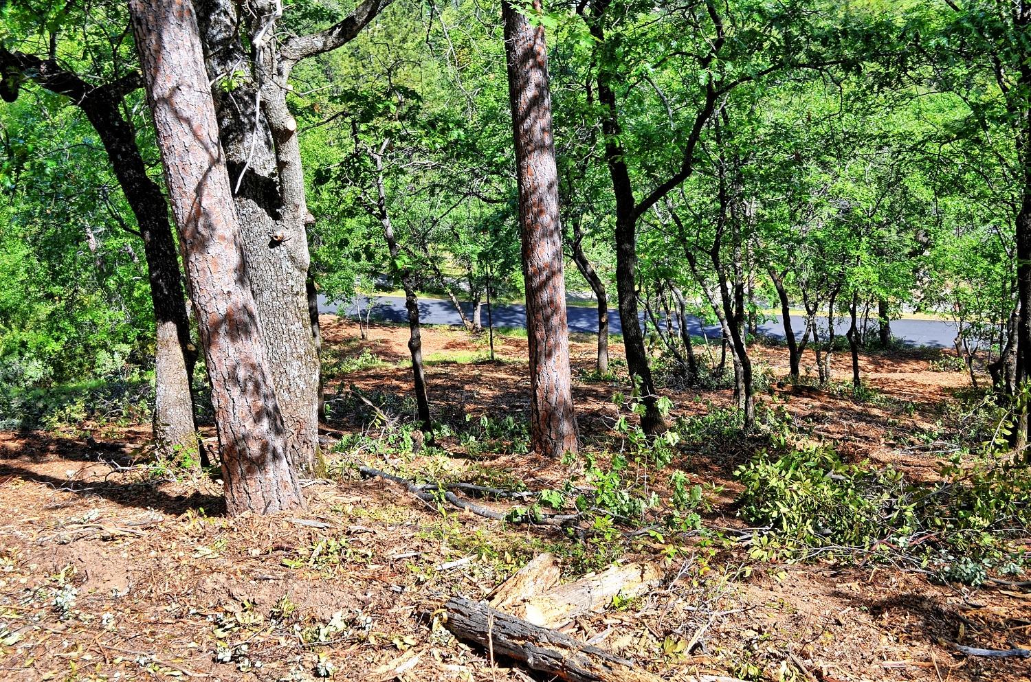 2939 Butte Mountain Road