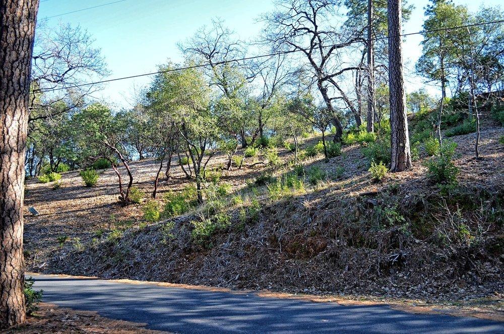 2939 Butte Mountain Road