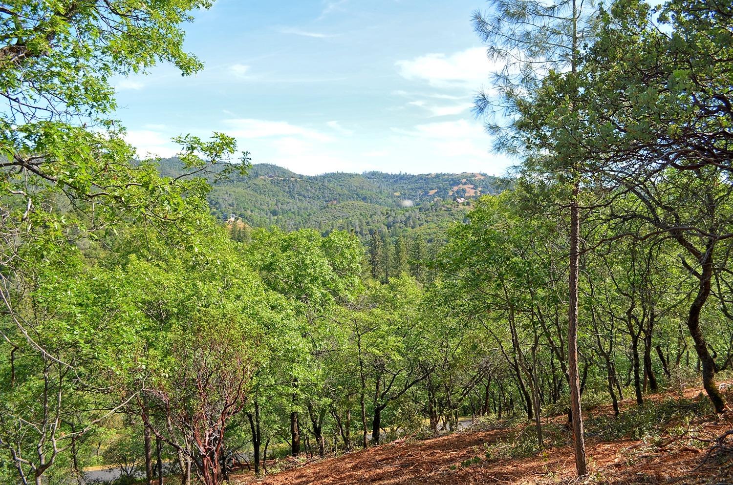 2939 Butte Mountain Road