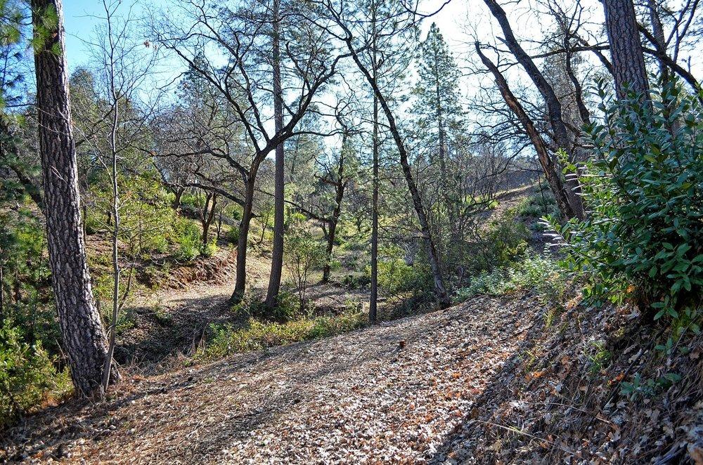 2939 Butte Mountain Road