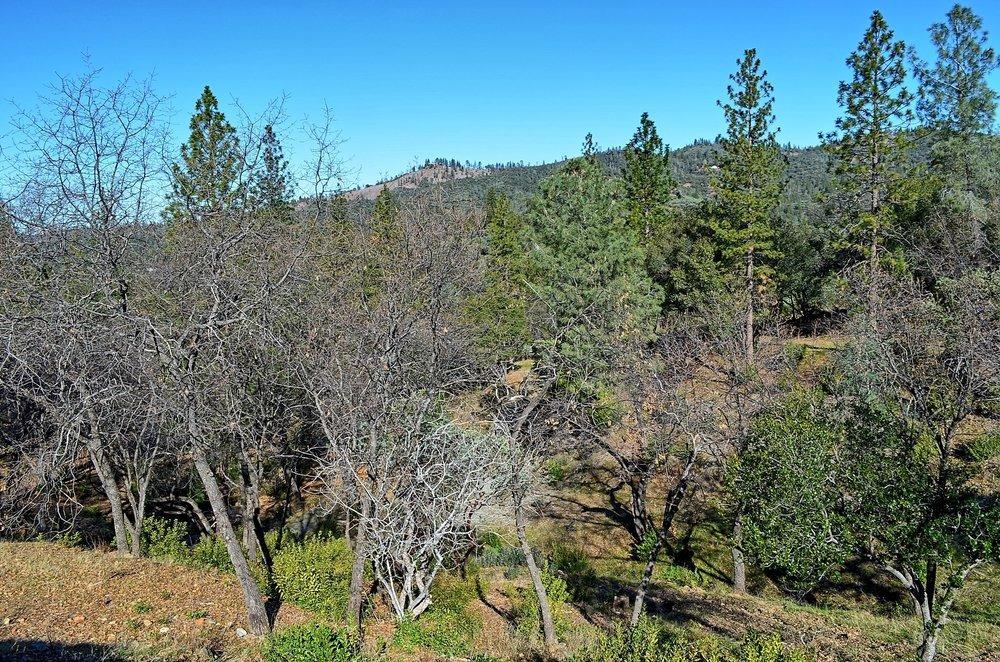 2939 Butte Mountain Road