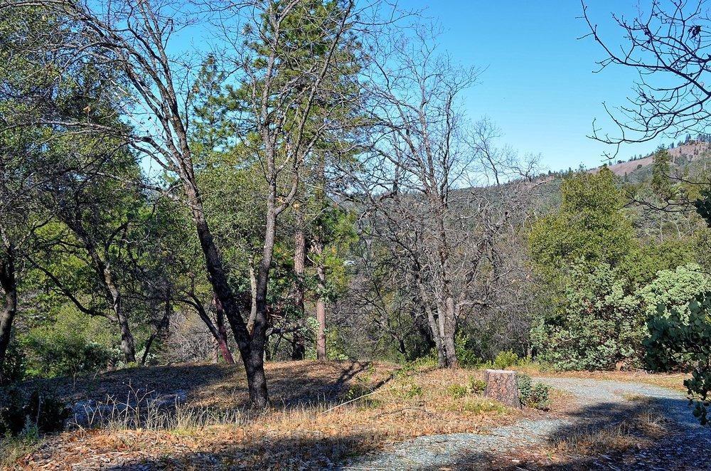 2939 Butte Mountain Road