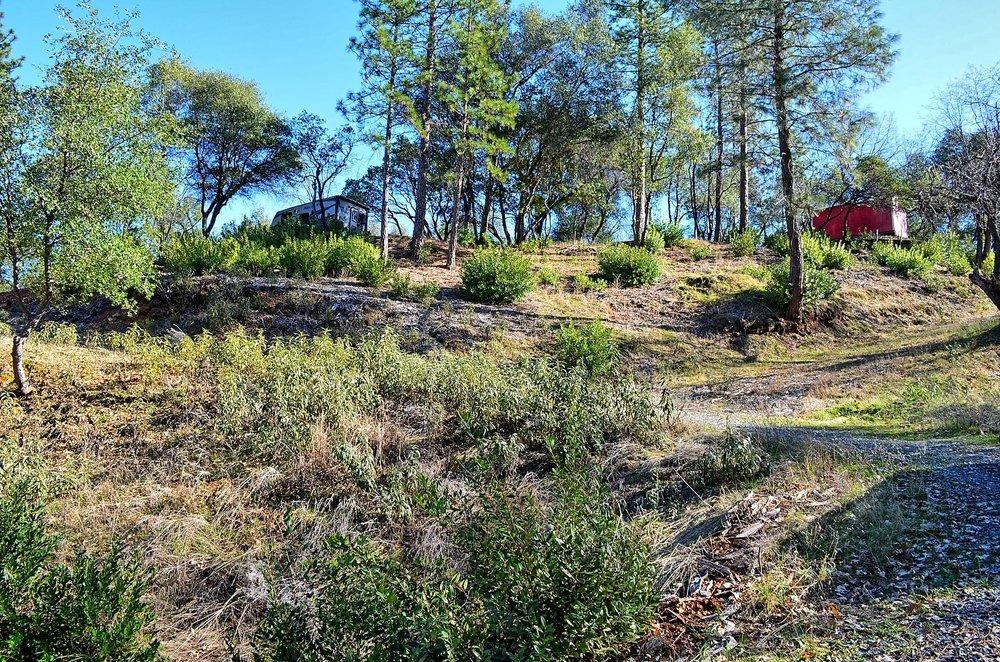 2939 Butte Mountain Road