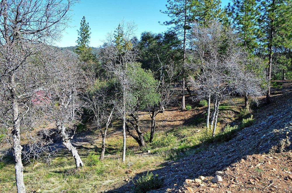 2939 Butte Mountain Road