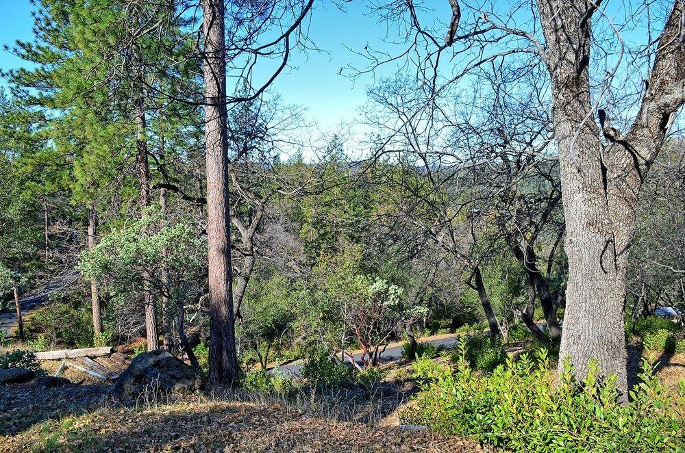 2939 Butte Mountain Road