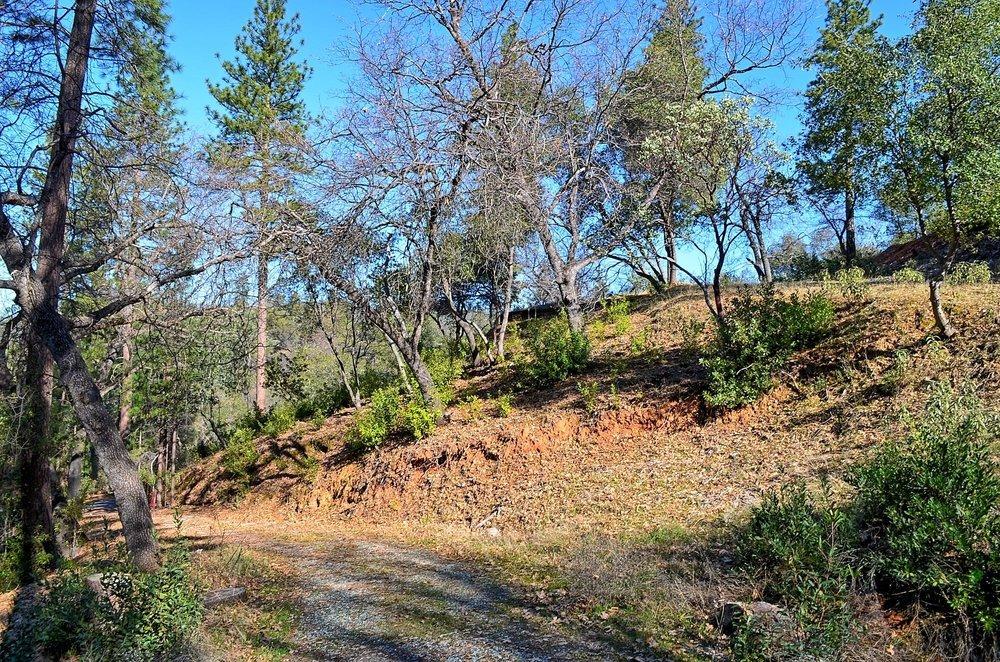 2939 Butte Mountain Road