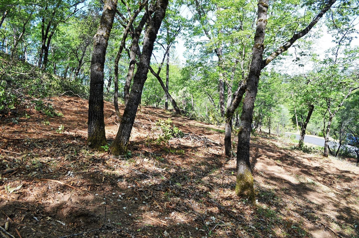 2939 Butte Mountain Road