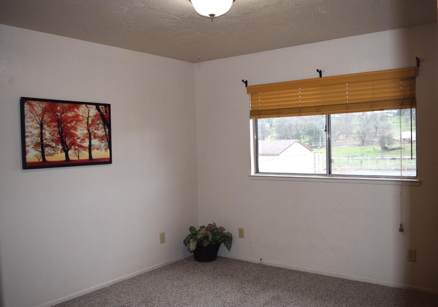812 Feather Drive