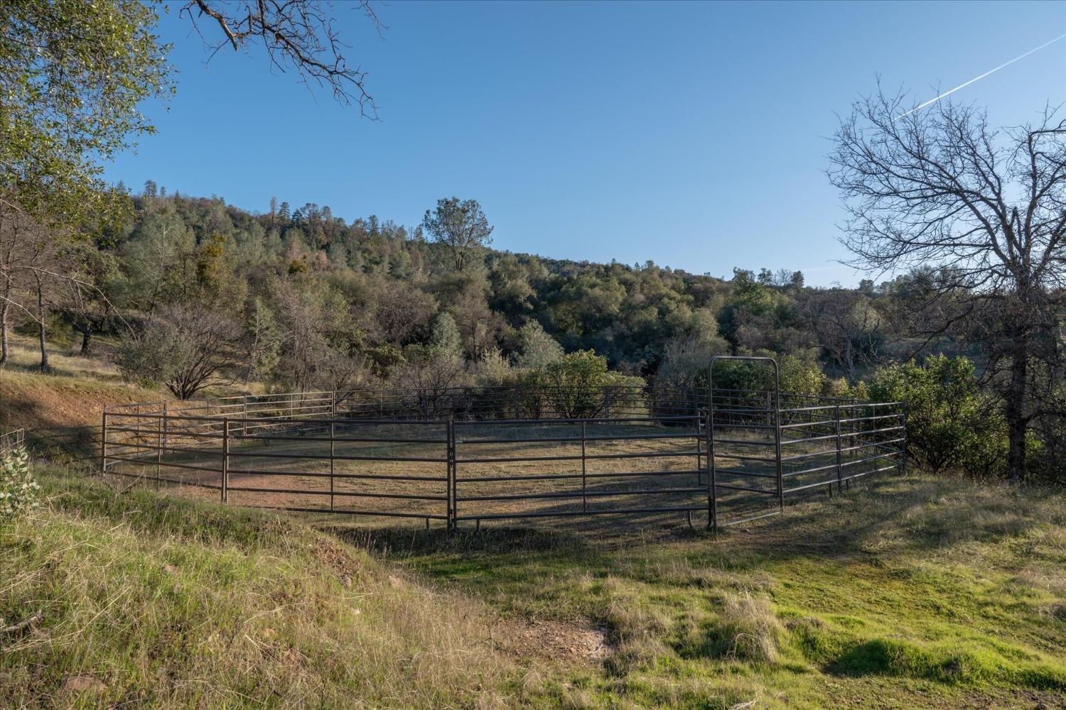 1500 Vineyard Terrace