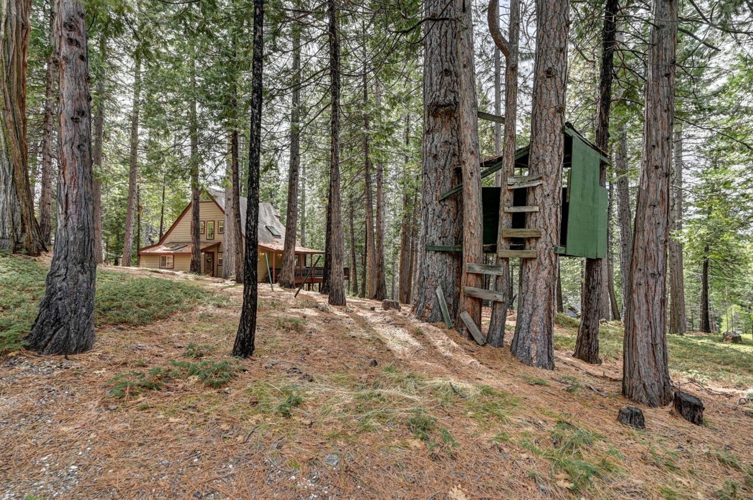 2060 Baywood View
