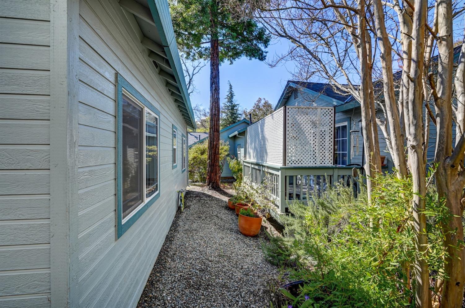 1255 Annalee Drive