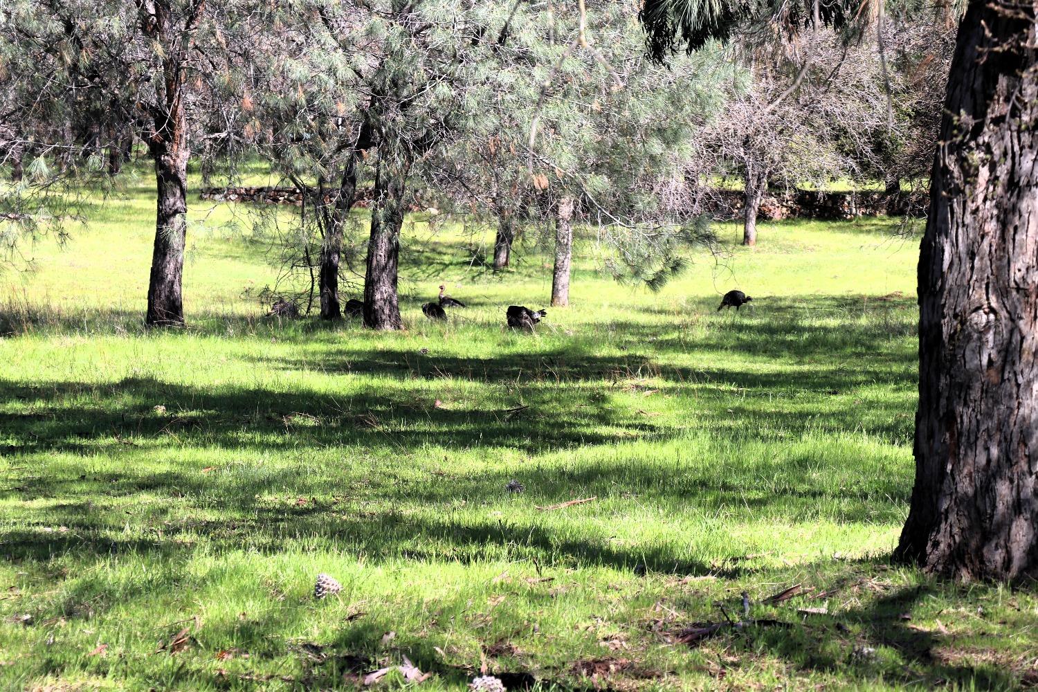 0 Ranchero Road