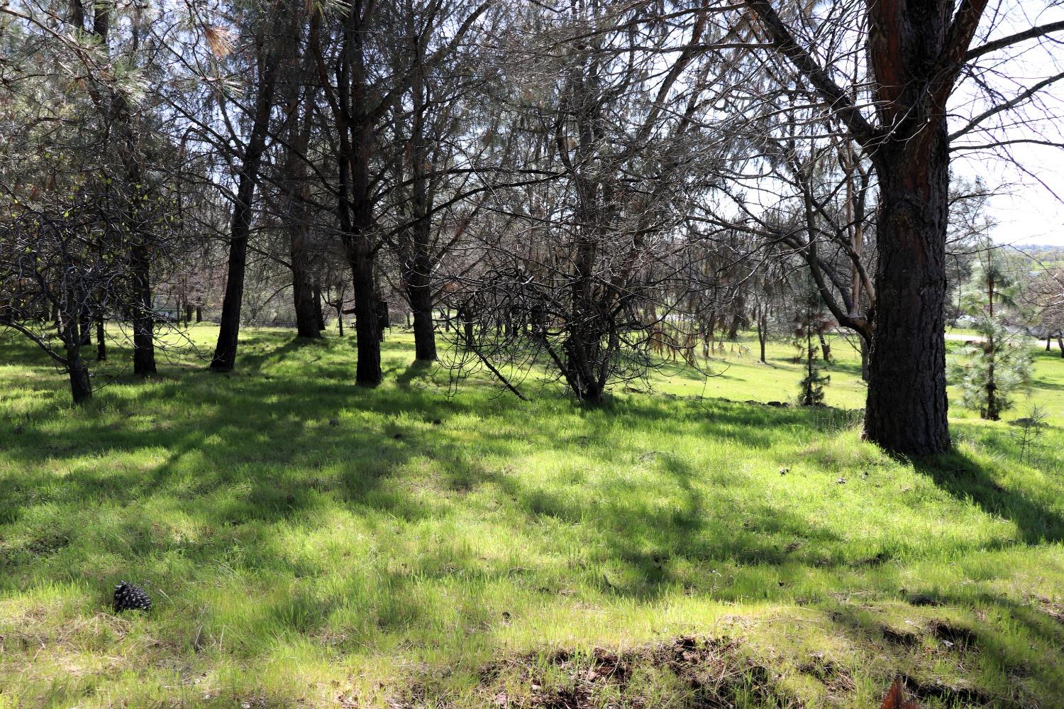 0 Ranchero Road