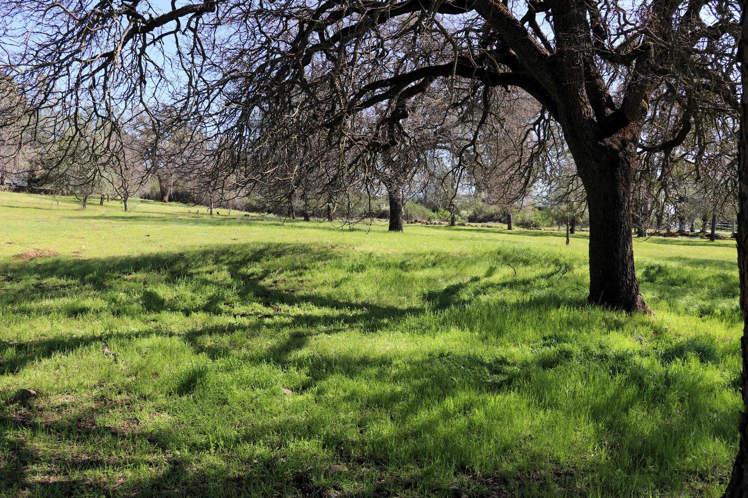 0 Ranchero Road