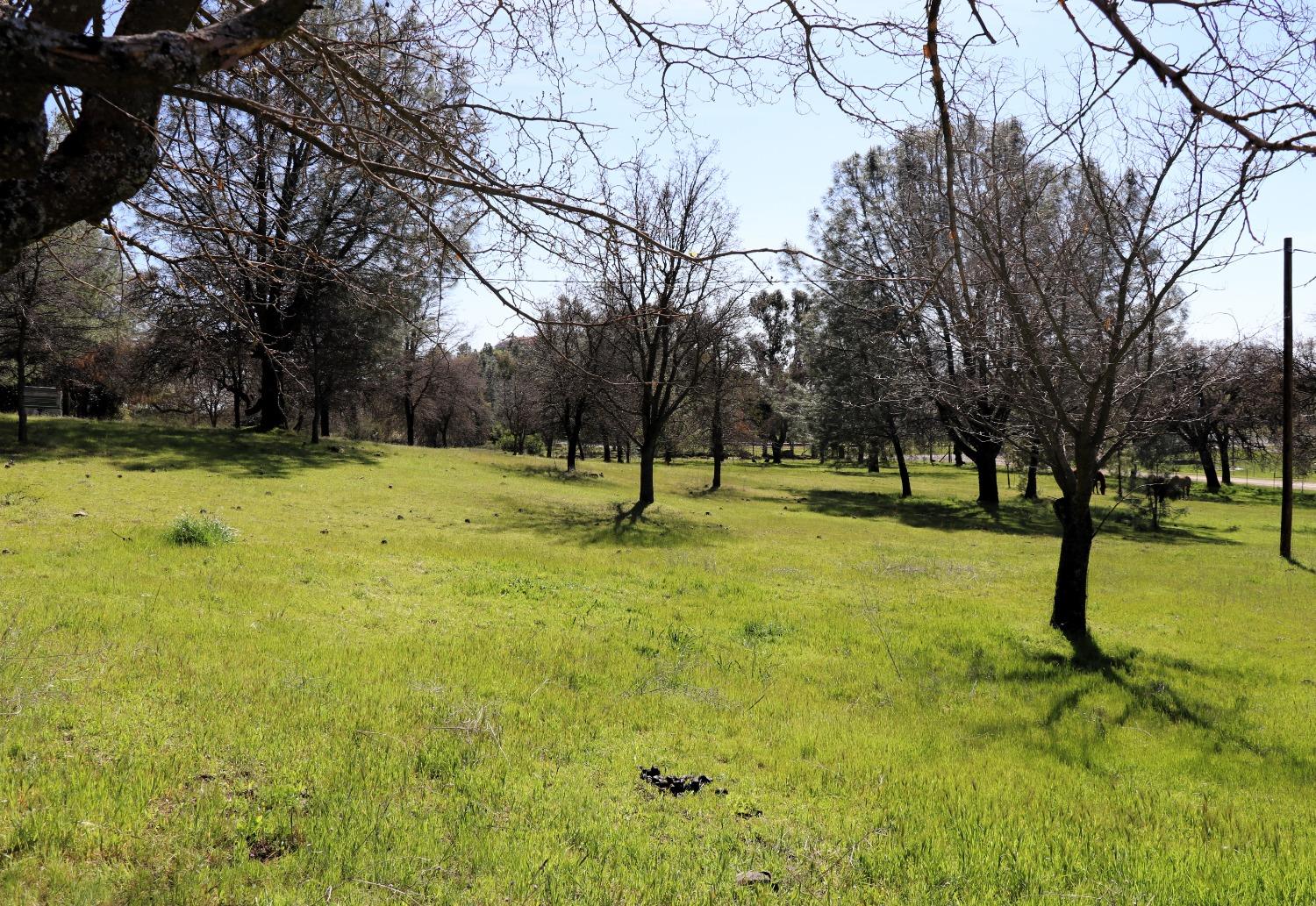 0 Ranchero Road