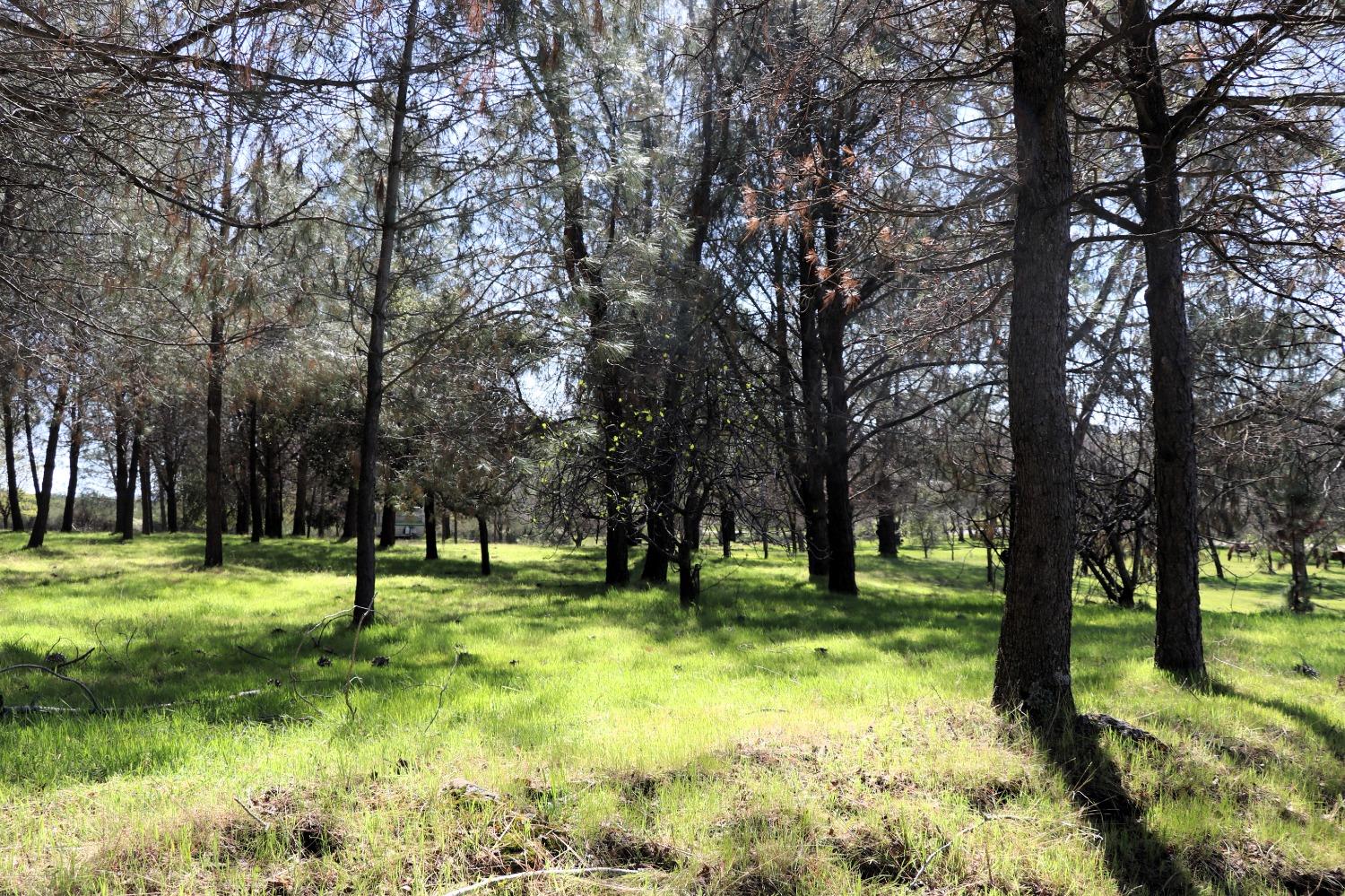 0 Ranchero Road